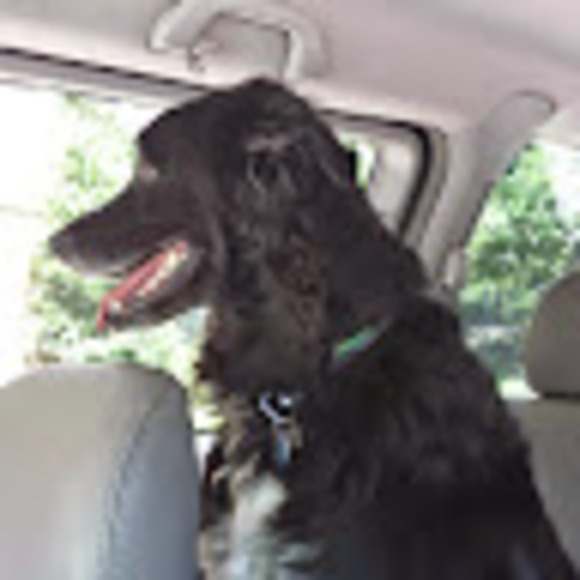 Meet your Posher, Lu lu - Picture 1 of 1